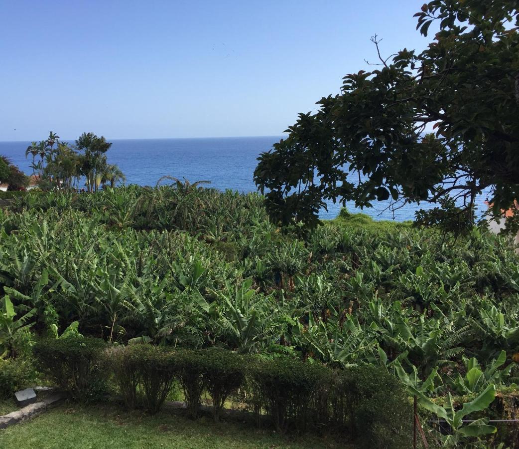 Chalet Tropical Arco da Calheta  Zewnętrze zdjęcie